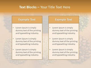 Soup Uncooked Isolated PowerPoint Template