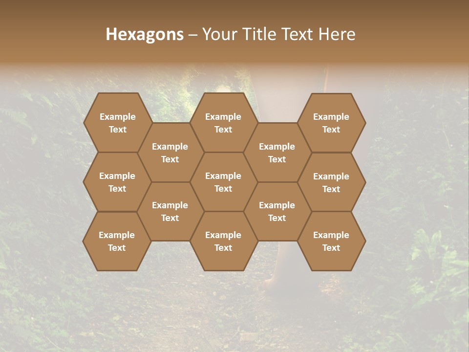 Miracle Footpath Enchanted PowerPoint Template