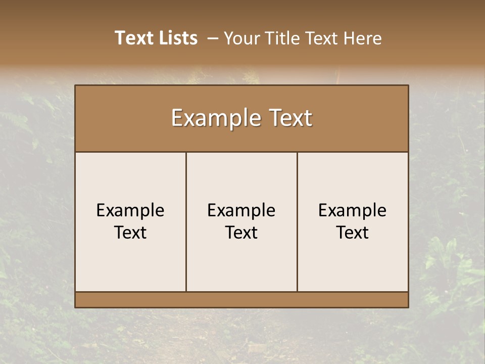Miracle Footpath Enchanted PowerPoint Template