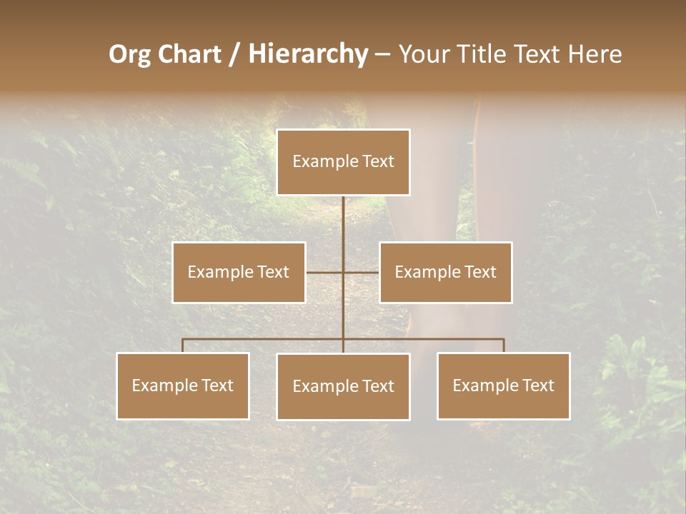 Miracle Footpath Enchanted PowerPoint Template