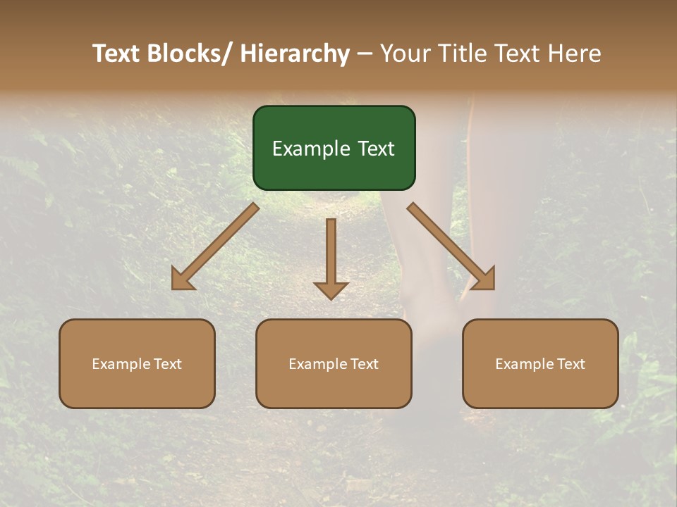 Miracle Footpath Enchanted PowerPoint Template