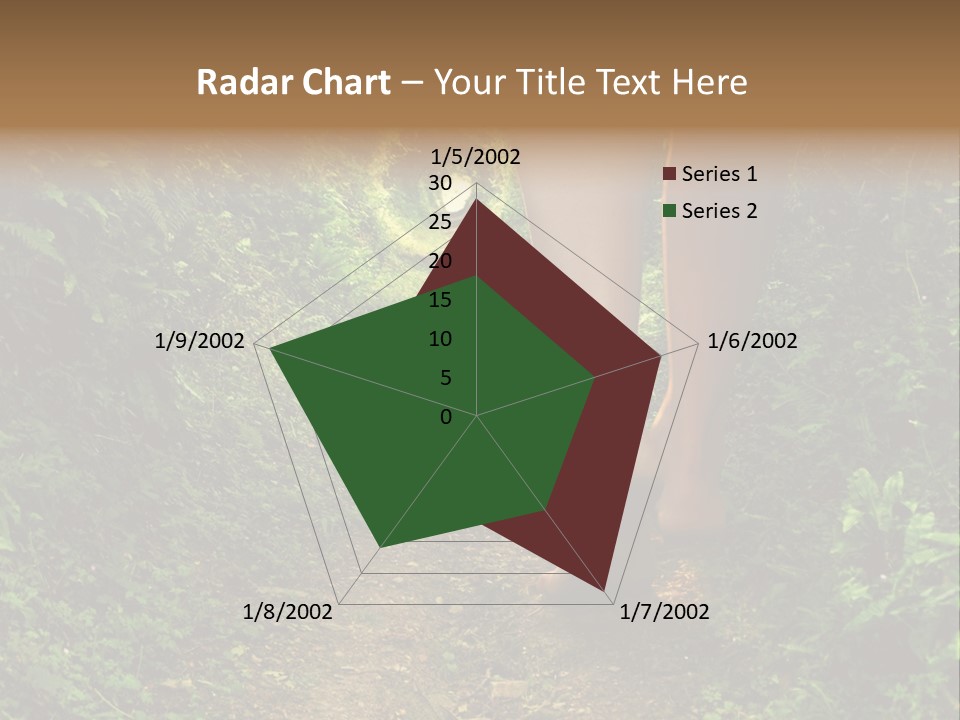 Miracle Footpath Enchanted PowerPoint Template