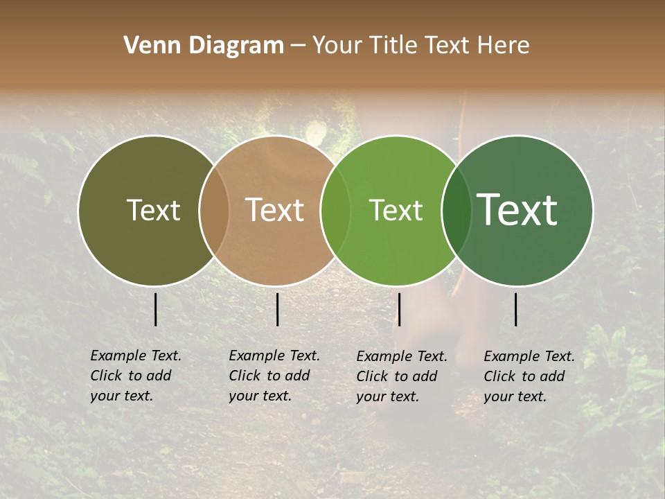 Miracle Footpath Enchanted PowerPoint Template