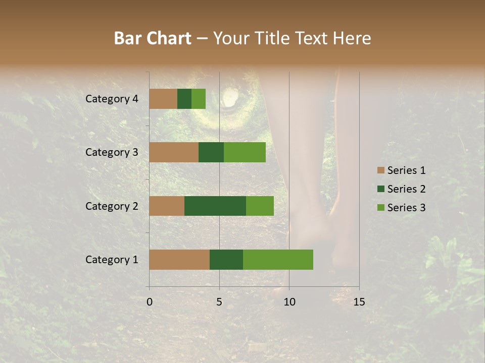 Miracle Footpath Enchanted PowerPoint Template
