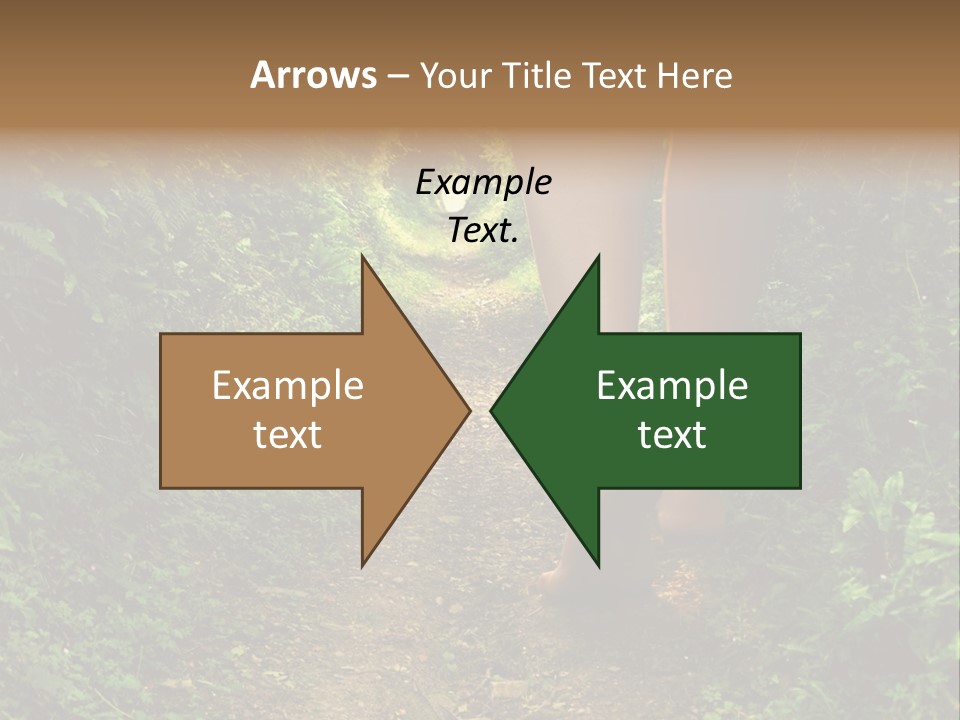 Miracle Footpath Enchanted PowerPoint Template