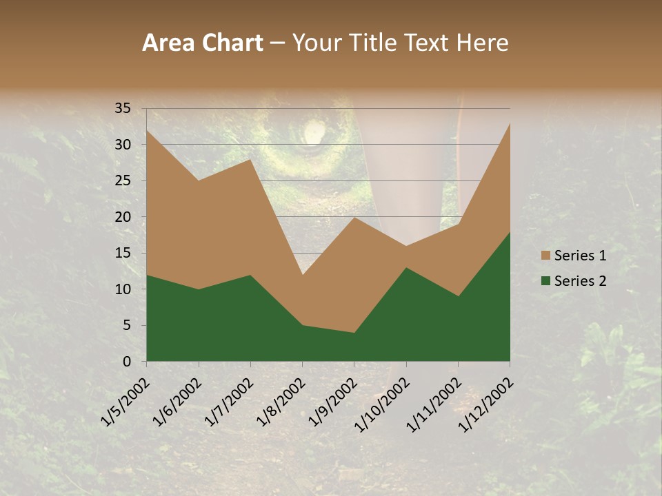 Miracle Footpath Enchanted PowerPoint Template