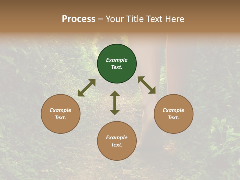 Miracle Footpath Enchanted PowerPoint Template