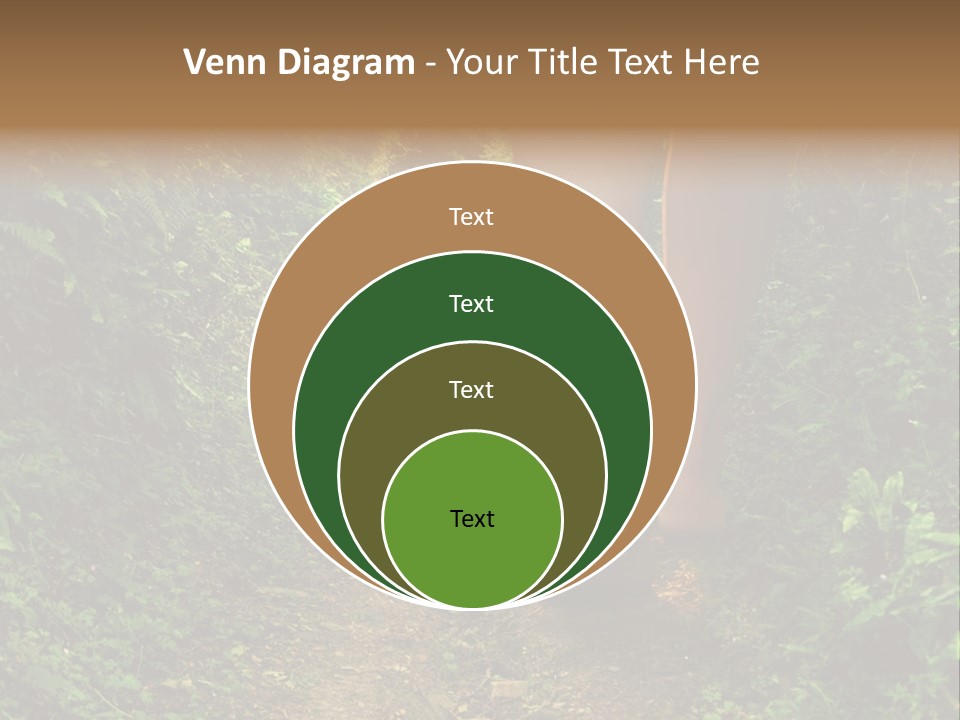 Miracle Footpath Enchanted PowerPoint Template
