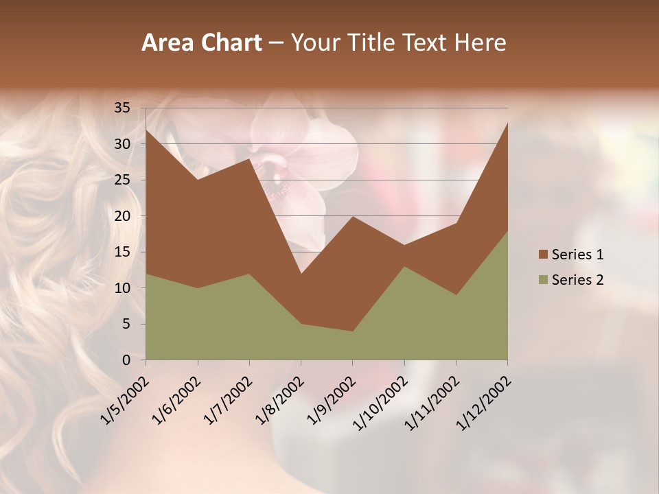 Skin Stylish Female PowerPoint Template