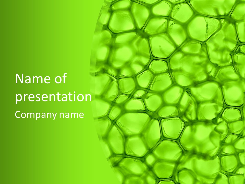 Concept Biology Medical PowerPoint Template