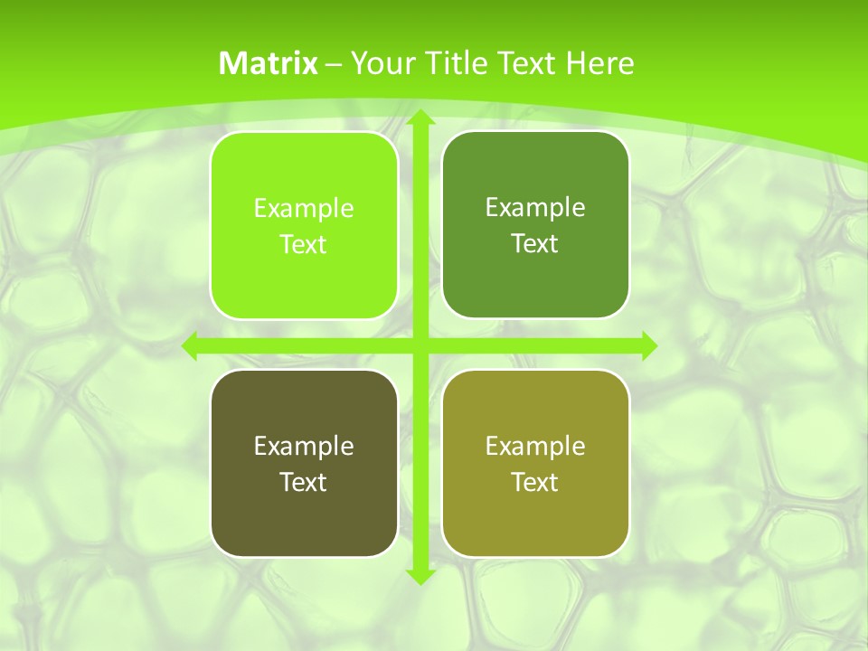 Concept Biology Medical PowerPoint Template