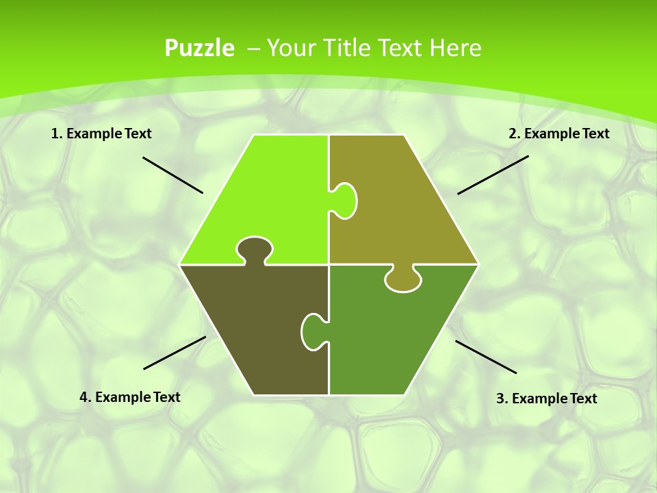 Concept Biology Medical PowerPoint Template