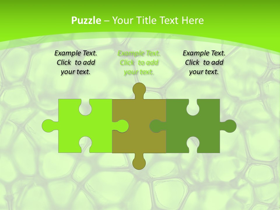 Concept Biology Medical PowerPoint Template