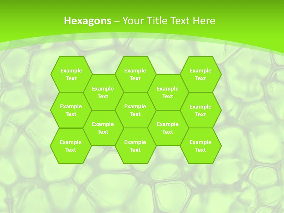 Concept Biology Medical PowerPoint Template
