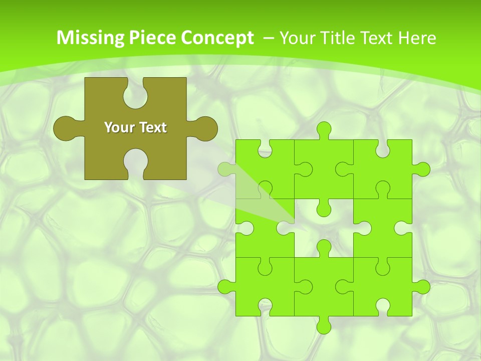 Concept Biology Medical PowerPoint Template