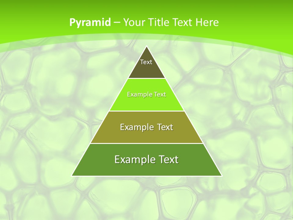 Concept Biology Medical PowerPoint Template