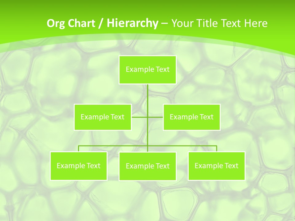 Concept Biology Medical PowerPoint Template