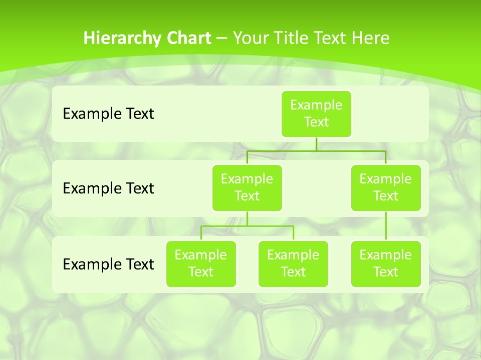 Concept Biology Medical PowerPoint Template