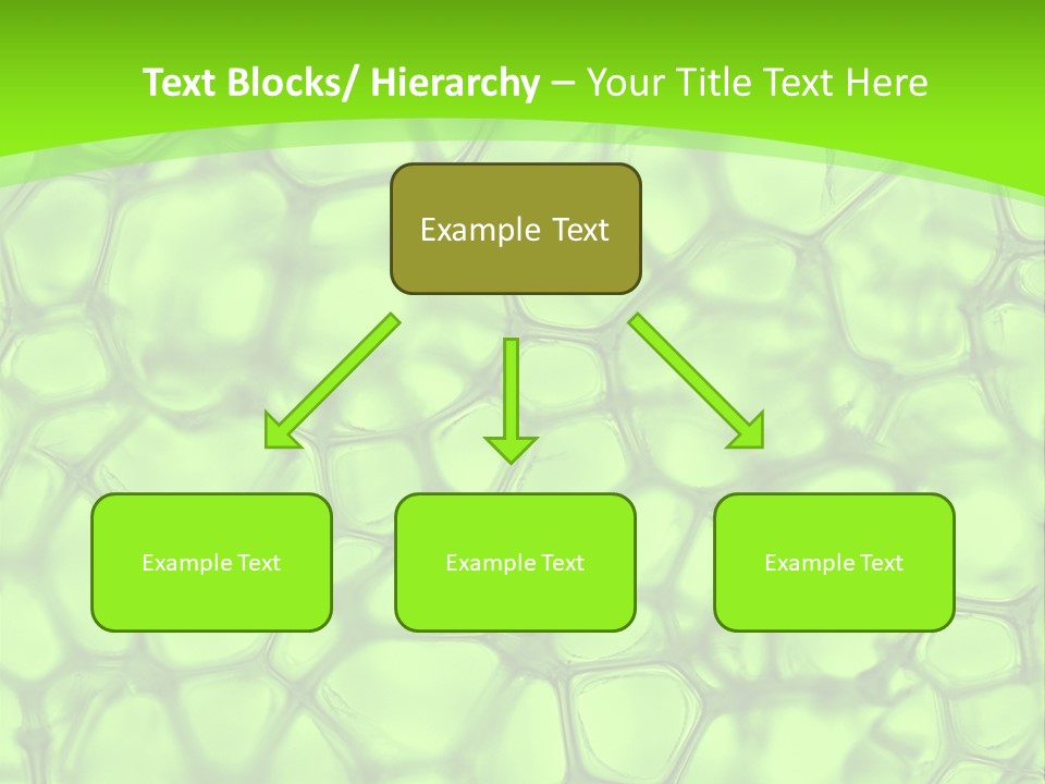 Concept Biology Medical PowerPoint Template