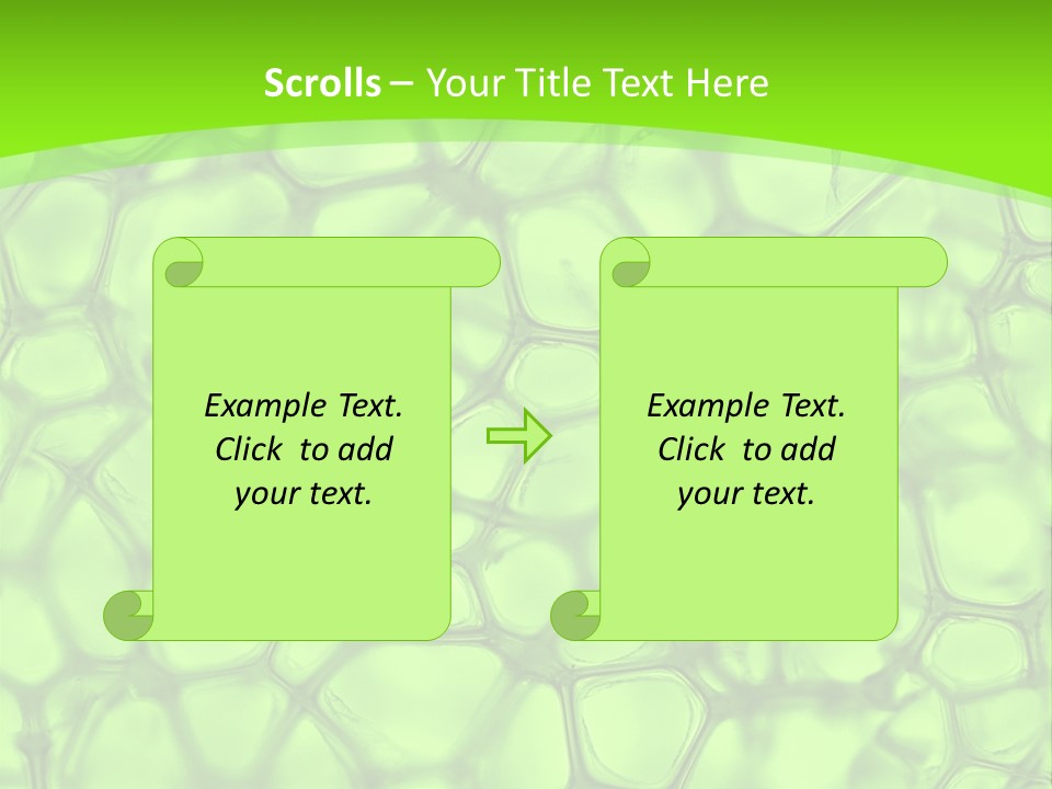 Concept Biology Medical PowerPoint Template