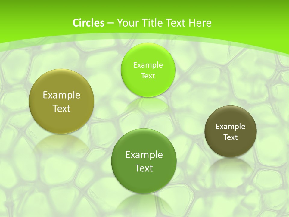 Concept Biology Medical PowerPoint Template