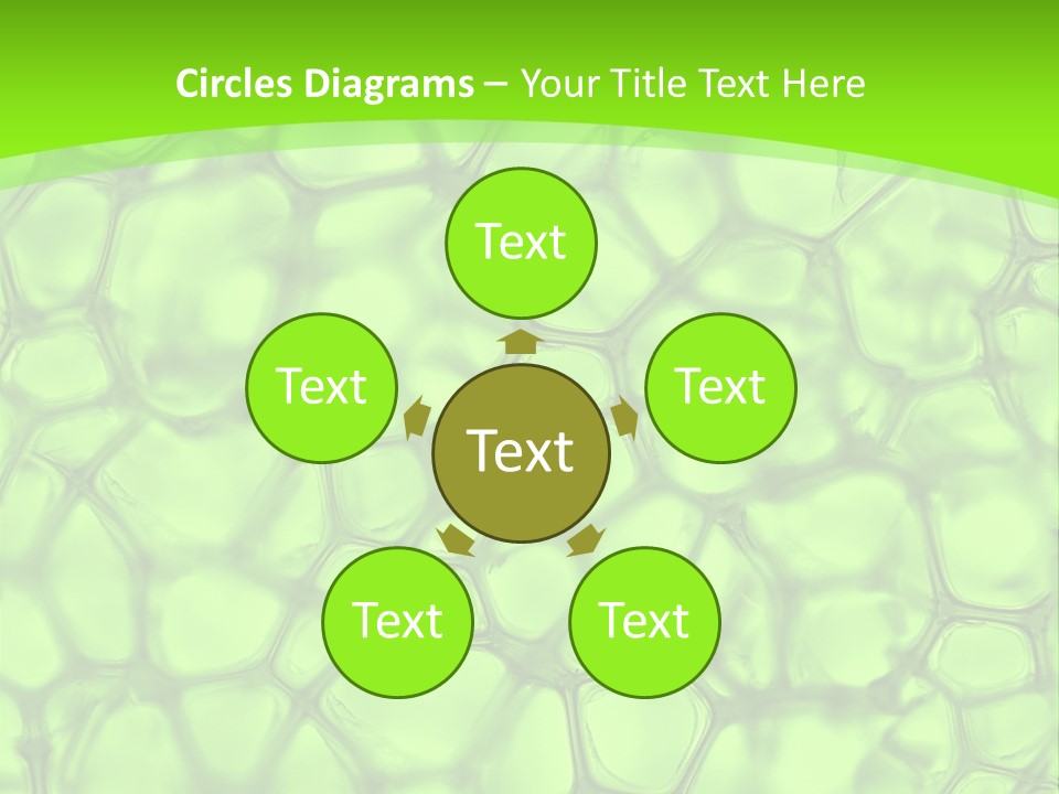 Concept Biology Medical PowerPoint Template