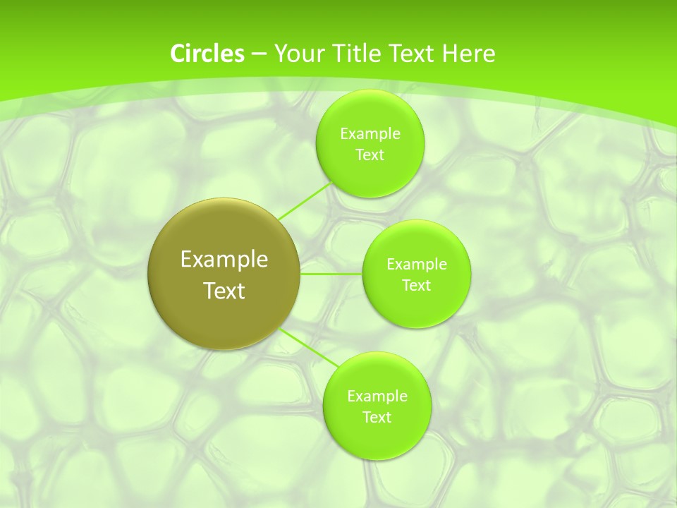 Concept Biology Medical PowerPoint Template