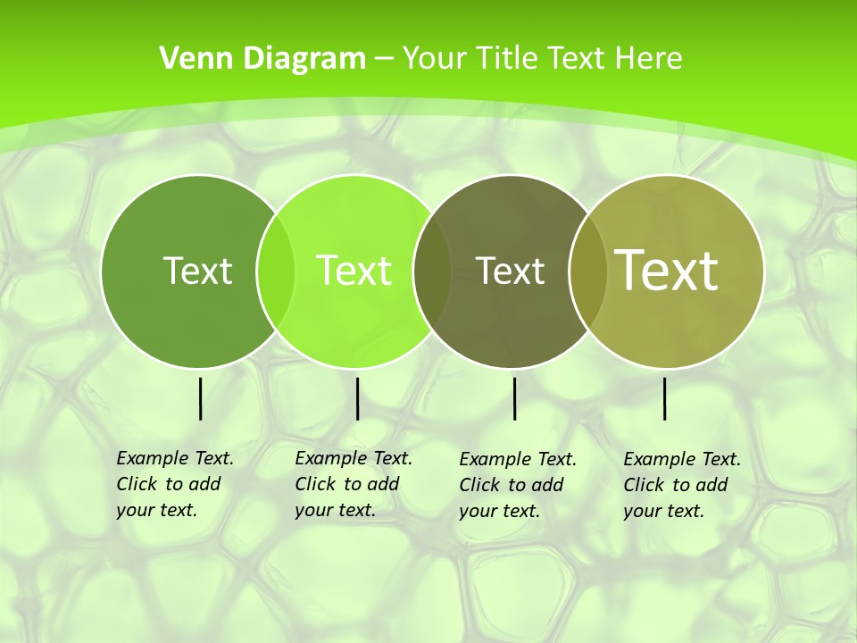 Concept Biology Medical PowerPoint Template