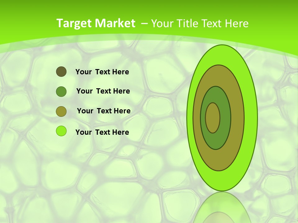 Concept Biology Medical PowerPoint Template