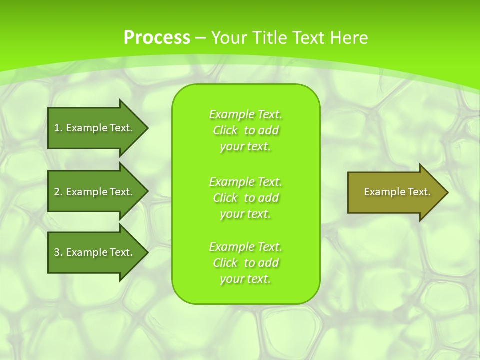 Concept Biology Medical PowerPoint Template