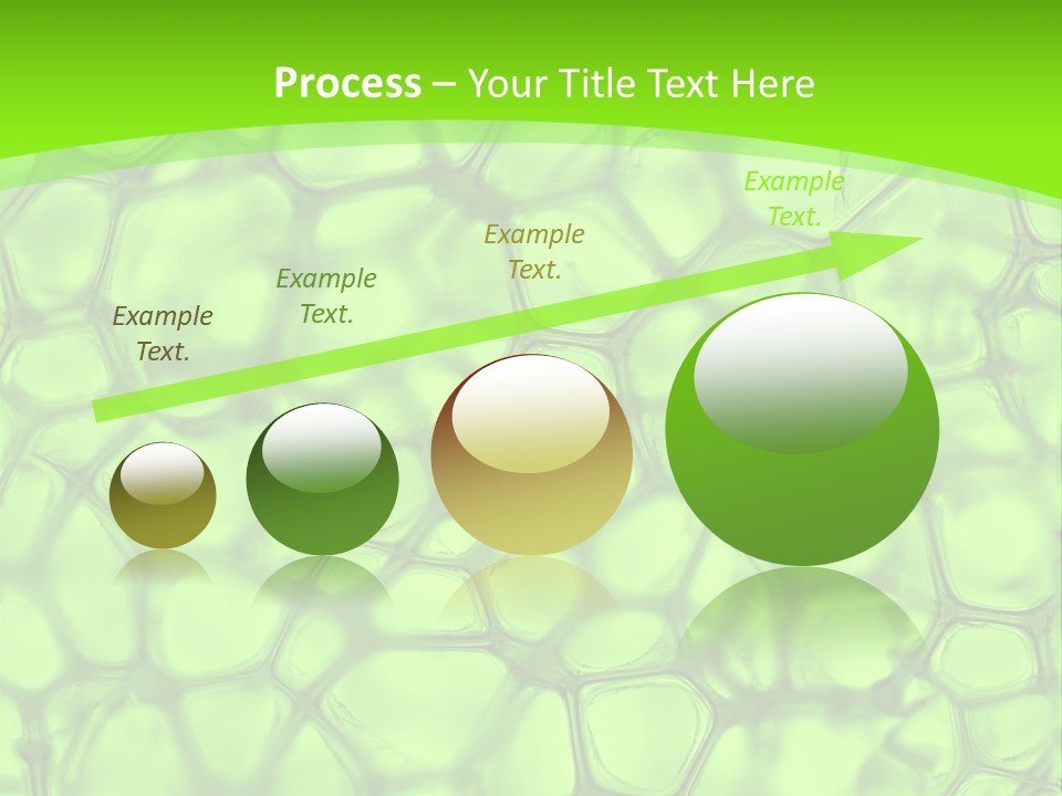 Concept Biology Medical PowerPoint Template
