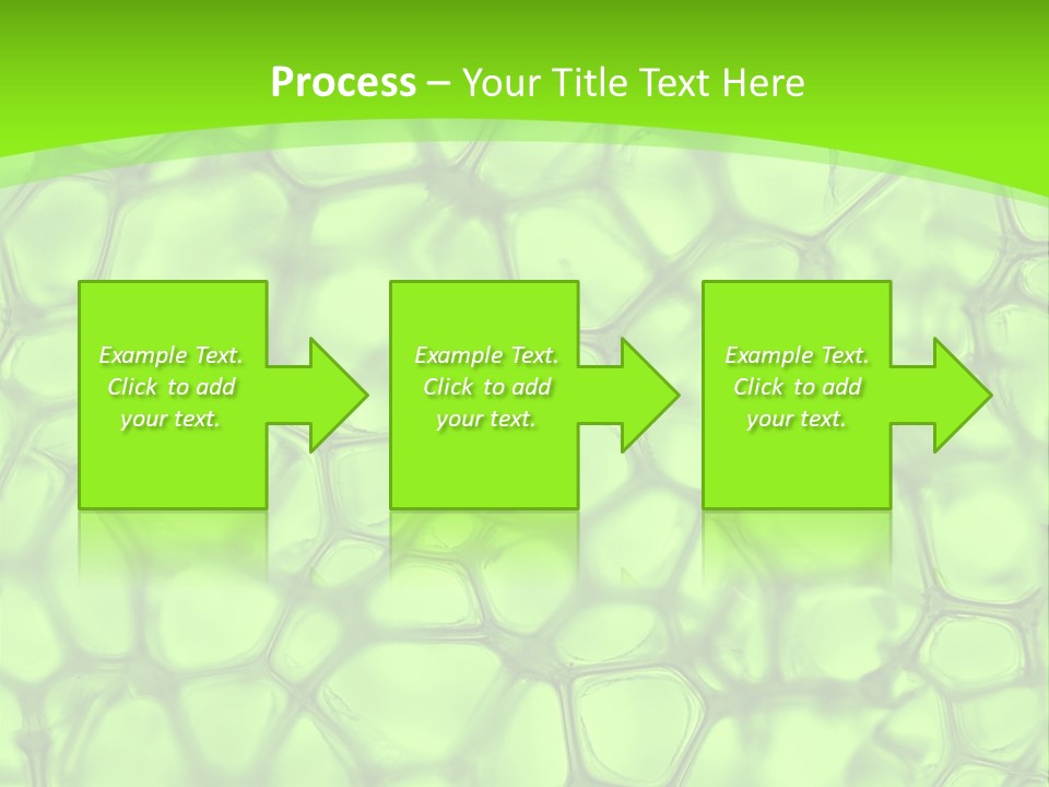 Concept Biology Medical PowerPoint Template