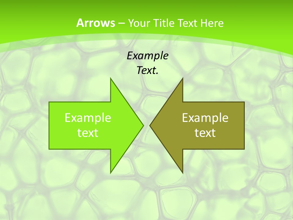 Concept Biology Medical PowerPoint Template