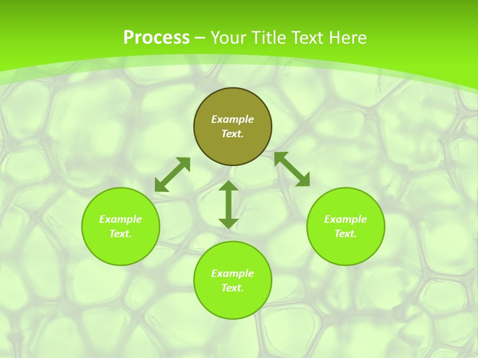 Concept Biology Medical PowerPoint Template