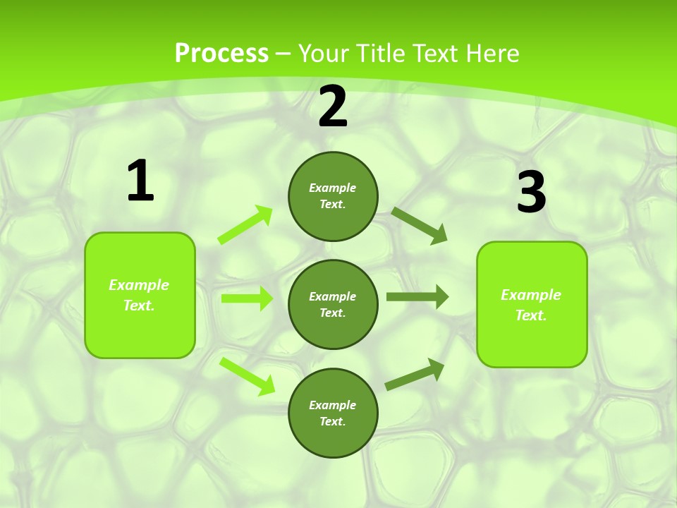 Concept Biology Medical PowerPoint Template