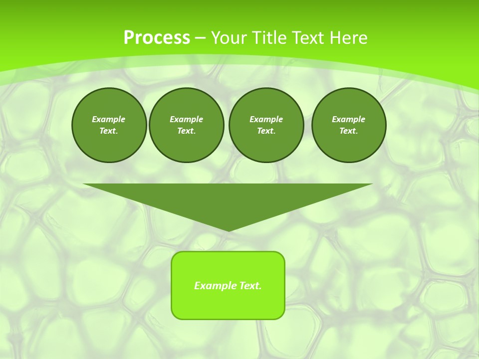 Concept Biology Medical PowerPoint Template