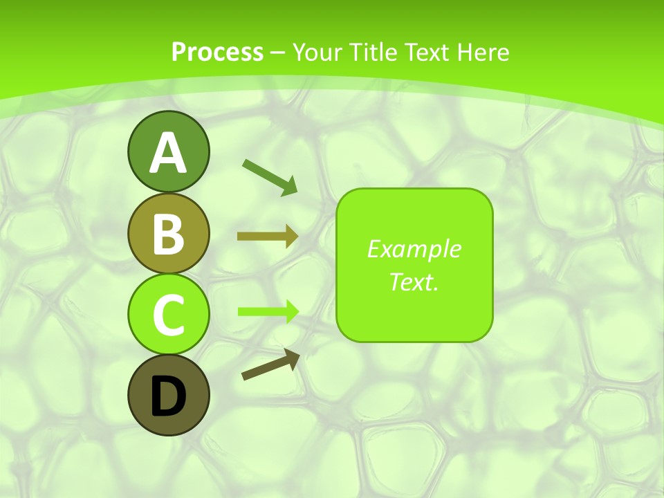 Concept Biology Medical PowerPoint Template