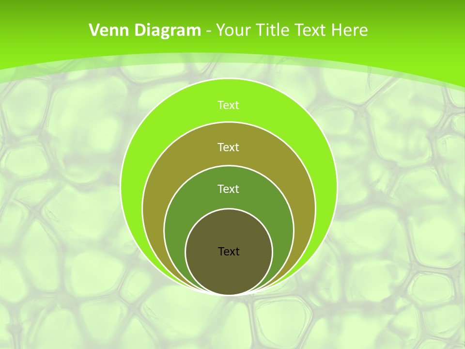 Concept Biology Medical PowerPoint Template