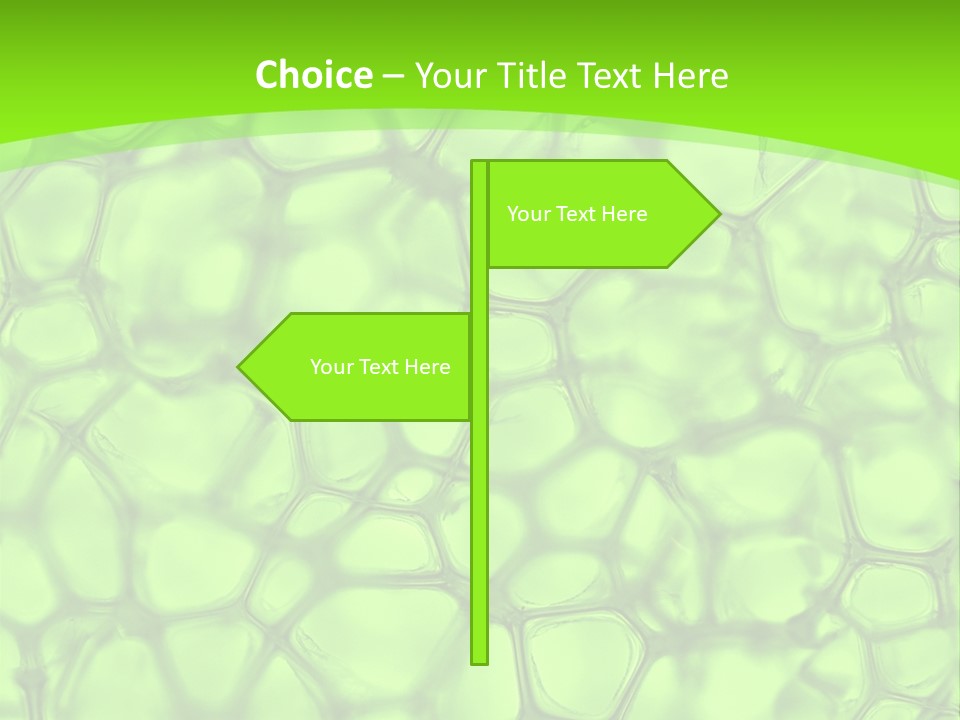 Concept Biology Medical PowerPoint Template