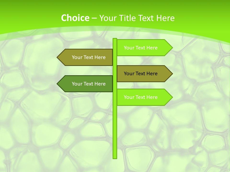Concept Biology Medical PowerPoint Template