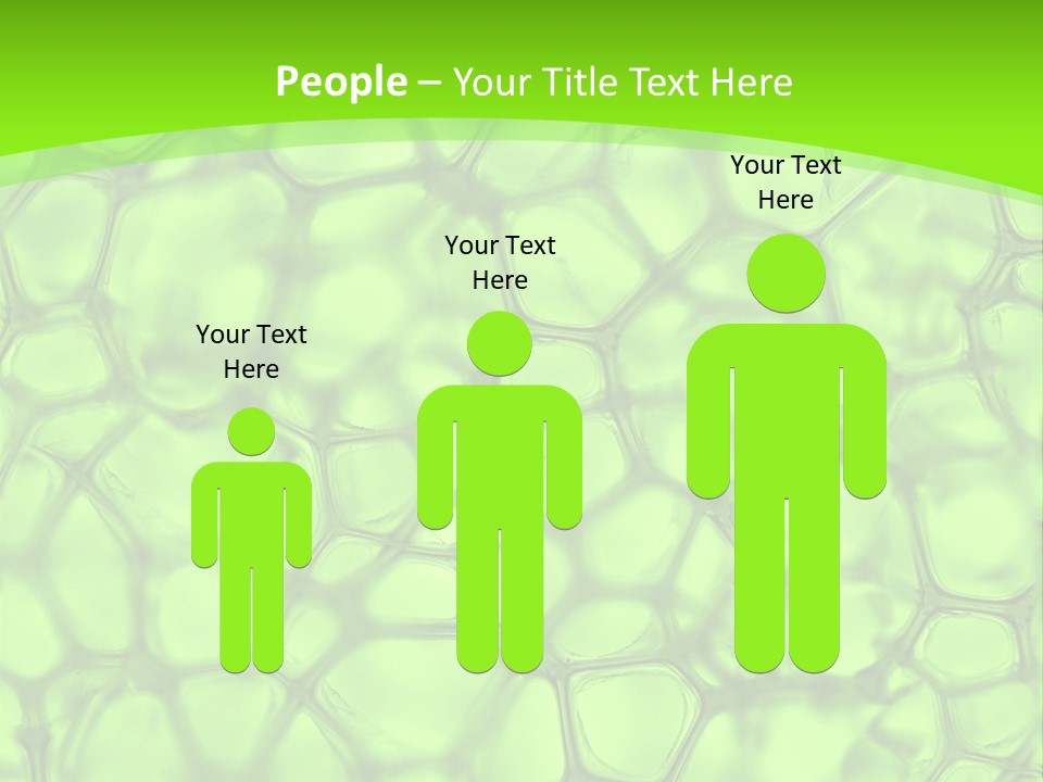 Concept Biology Medical PowerPoint Template