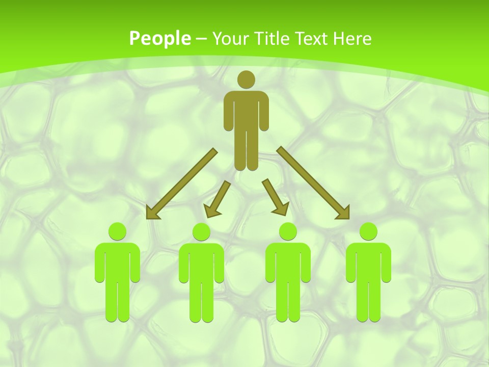 Concept Biology Medical PowerPoint Template