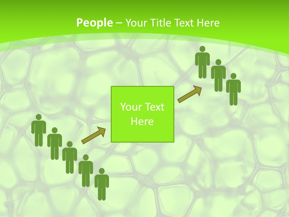 Concept Biology Medical PowerPoint Template