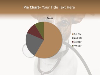 Stethoscope Funny Medicine PowerPoint Template