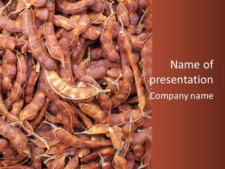Brown Shell Pea PowerPoint Template