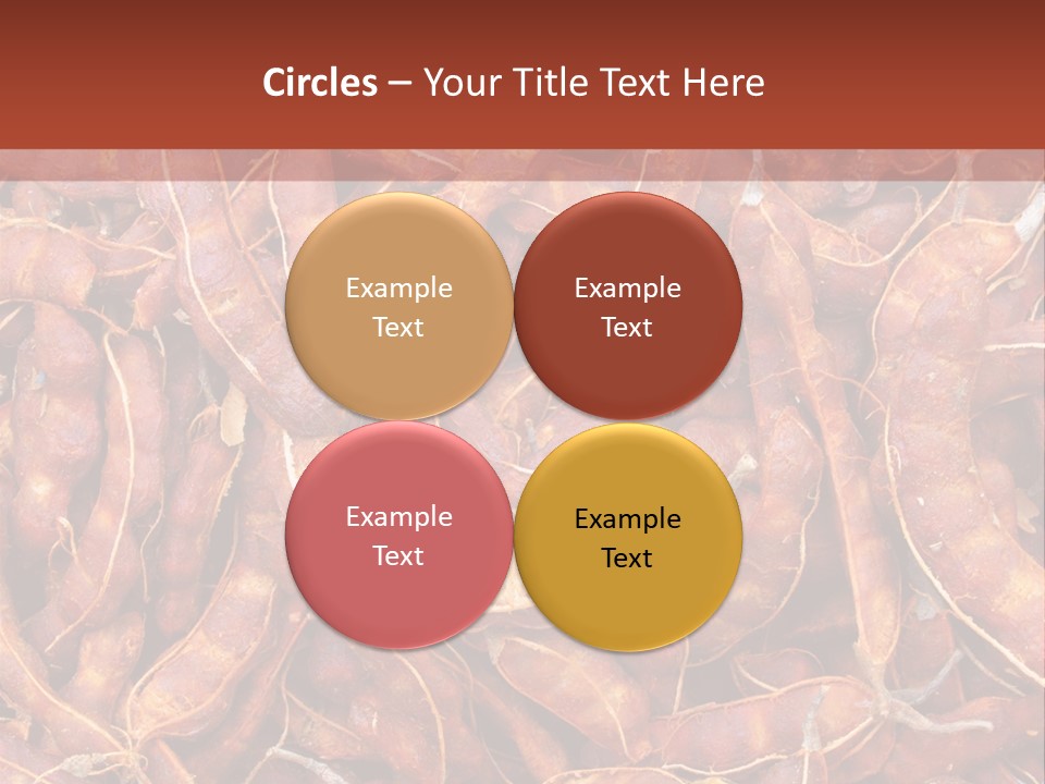 Brown Shell Pea PowerPoint Template