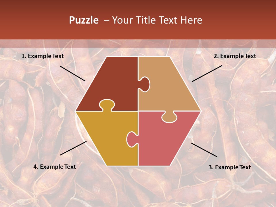 Brown Shell Pea PowerPoint Template