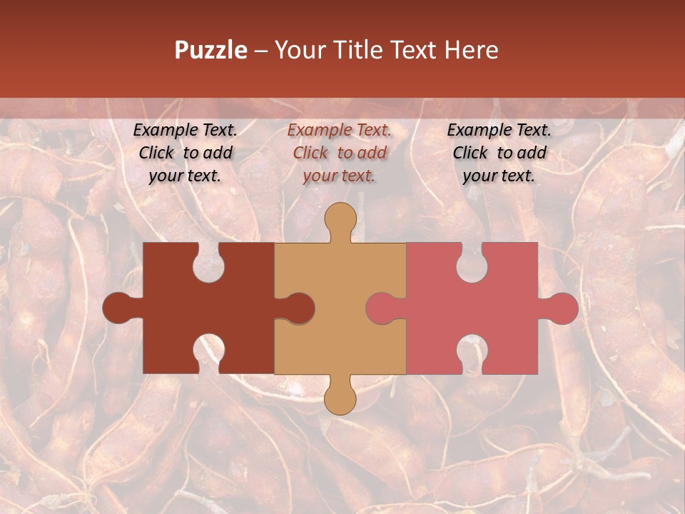 Brown Shell Pea PowerPoint Template