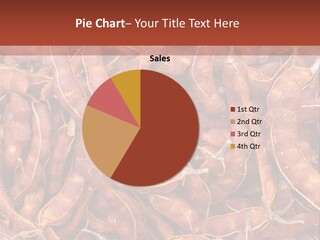 Brown Shell Pea PowerPoint Template