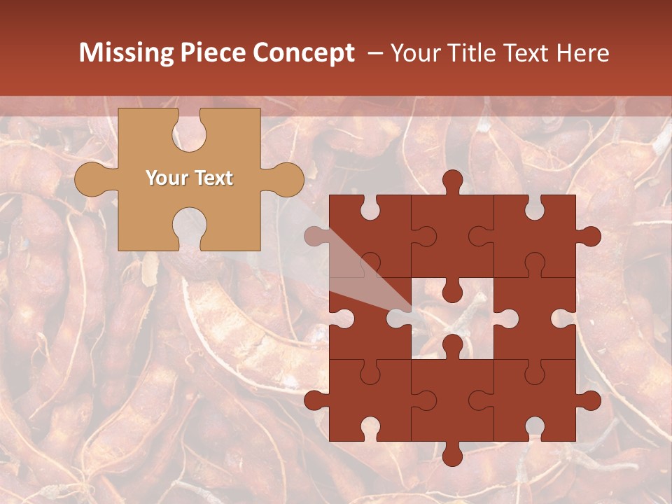 Brown Shell Pea PowerPoint Template